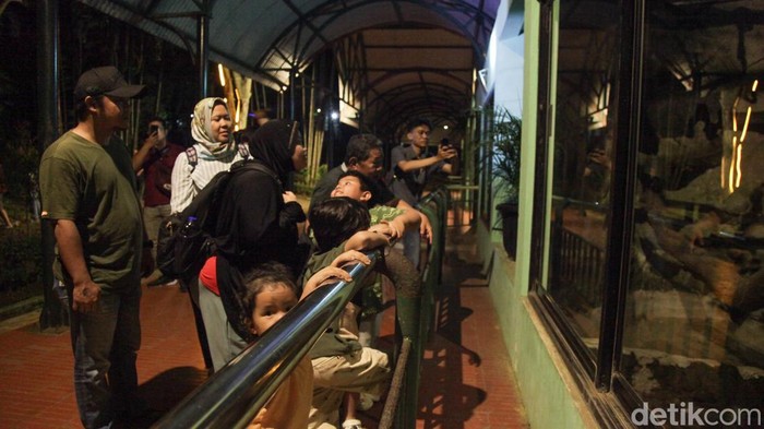 Wisatawan melihat satwa nokturnal di Taman Margasatwa Ragunan, Jakarta, Sabtu (11/10/2025) malam.