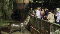 Sensasi Baru Wisata Malam di Taman Margasatwa Ragunan
