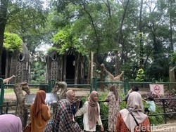 Wisata Malam Dimulai Hari Ini, Begini Persiapan TM Ragunan Wisata Malam Dimulai Hari Ini, Begini Persiapan TM Ragunan