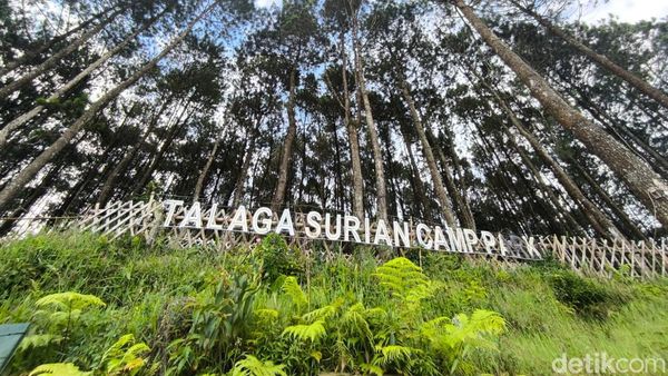 Pesona Kesejukan Wisata Alam Talaga Surian di Kuningan