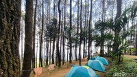 5 Rekomendasi Bumi Perkemahan untuk Libur Akhir Pekan di Kuningan