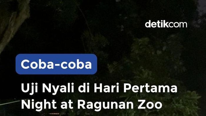 Video: Uji Nyali di Hari Pertama Night at Ragunan Zoo
