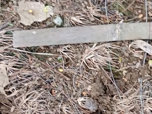 Petani di Sukabumi Tewas Tersengat Listrik Perangkap Babi yang Dipasangnya Petani di Sukabumi Tewas Tersengat Listrik Perangkap Babi yang Dipasangnya