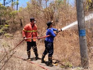 Dua Hektare Kebun Mangga-Jambu Mete di Karangasem Hangus Terbakar Dua Hektare Kebun Mangga-Jambu Mete di Karangasem Hangus Terbakar