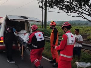 Hiace dan Tronton Adu Banteng di Jalan Daendels Purworejo, 2 Tewas
