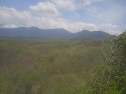 Warga Ulayat Tolak Penjualan Lahan Bekas Proyek Kebun PBB di Manggarai Barat Warga Ulayat Tolak Penjualan Lahan Bekas Proyek Kebun PBB di Manggarai Barat