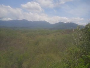 Warga Ulayat Tolak Penjualan Lahan Bekas Proyek Kebun PBB di Manggarai Barat Warga Ulayat Tolak Penjualan Lahan Bekas Proyek Kebun PBB di Manggarai Barat