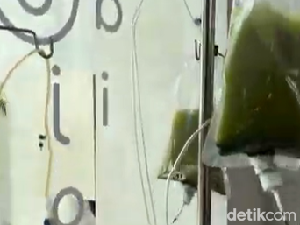 Viral Minuman Matcha Infus di Bali, Pihak Kafe Buka Suara