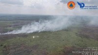 3 Wilayah OKI Terbakar, Luas Karhutla 11 Hektare