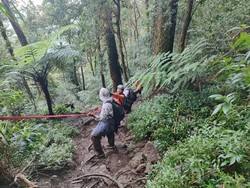 Kelelahan Saat Mendaki Gunung Batukaru, 5 Remaja Dievakuasi