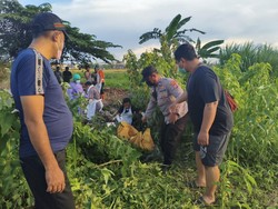 Mayat Perempuan Tanpa Baju Ditemukan di Irigasi Sawah Sidoarjo