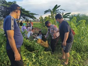 Mayat Perempuan Tanpa Baju Ditemukan di Irigasi Sawah Sidoarjo Mayat Perempuan Tanpa Baju Ditemukan di Irigasi Sawah Sidoarjo