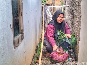 Warga Baleendah Kaget, Pekarangan Rumahnya Ditumbuhi Bunga Bangkai Warga Baleendah Kaget, Pekarangan Rumahnya Ditumbuhi Bunga Bangkai