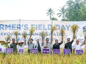 Langkah Ciamis demi Wujudkan Jadi Kabupaten Organik