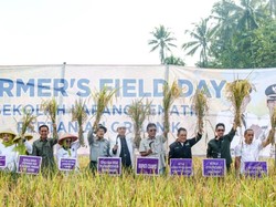 Langkah Ciamis demi Wujudkan Jadi Kabupaten Organik