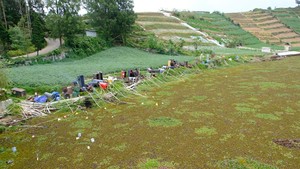 Enceng Gondok Serbu Telaga Merdada, Petani Dieng Kesulitan Air