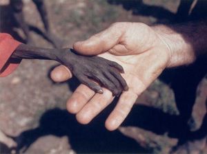 Foto Menakjubkan yang Mengabadikan Momen Ikonik dalam Sejarah Dunia