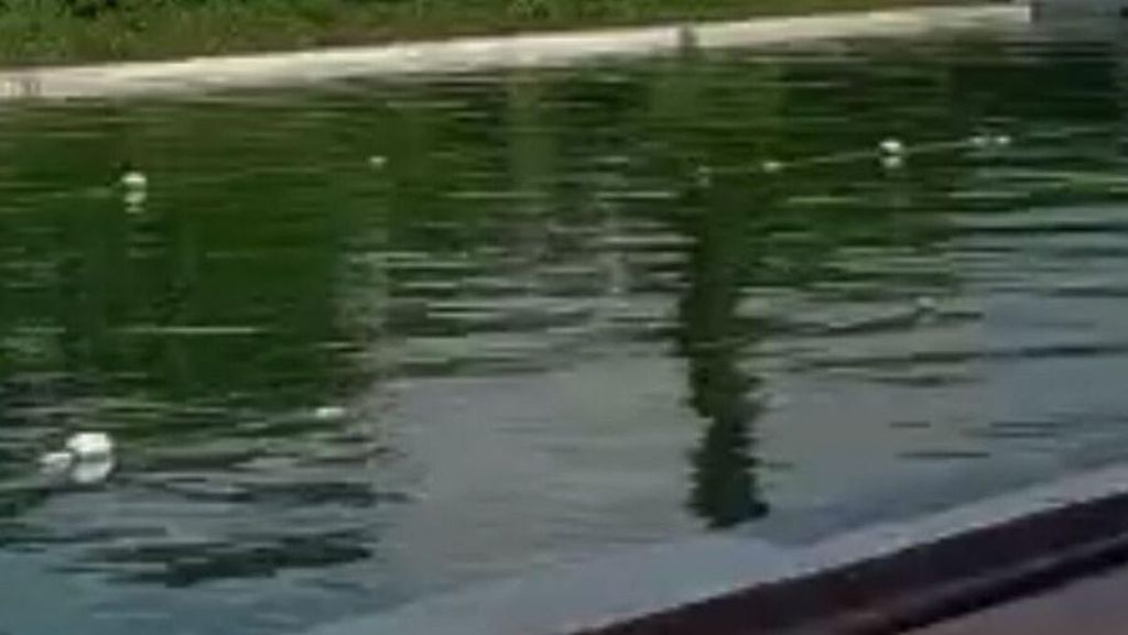 Video: Kolam Renang KONI Manado Tak Dikuras Sejak 1999 Video: Kolam Renang KONI Manado Tak Dikuras Sejak 1999