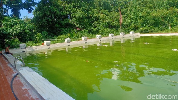 Kolam renang Cikini