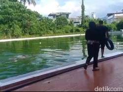 Miris Kolam Renang KONI Manado 25 Tahun Tak Dikuras Padahal Dipakai Atlet