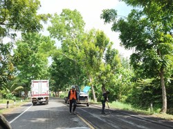 Lubang Maut di Jalan Denpasar-Gilimanuk Ditambal Sulam untuk Persiapan Nataru
