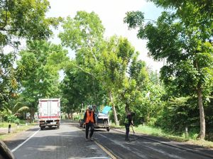 Lubang Maut di Jalan Denpasar-Gilimanuk Ditambal Sulam untuk Persiapan Nataru Lubang Maut di Jalan Denpasar-Gilimanuk Ditambal Sulam untuk Persiapan Nataru