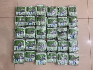 Polda Riau Gagalkan Penyelundupan 30 Kg Sabu di Pelabuhan Roro Dumai