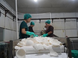 543 Ribu Kg Santan Kelapa Asal Sumsel Diterbangkan ke China dan Hongkong