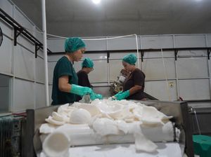 543 Ribu Kg Santan Kelapa Asal Sumsel Diterbangkan ke China dan Hongkong 543 Ribu Kg Santan Kelapa Asal Sumsel Diterbangkan ke China dan Hongkong