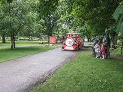 Muncul Dugaan Kasus Flu Burung, Kebun Binatang di Irlandia Tutup Sementara