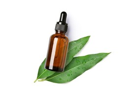 Multiguna, Ini 5 Manfaat Minyak Kayu Putih untuk Sehari-hari