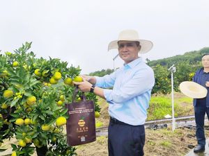 Kementrans Mau Adopsi Keberhasilan Model Pemberdayaan Kota di China Kementrans Mau Adopsi Keberhasilan Model Pemberdayaan Kota di China