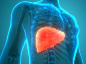 Perlemakan Hati, Kondisi Medis yang Kian Marak di AS-India Perlemakan Hati, Kondisi Medis yang Kian Marak di AS-India