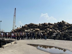 Illegal Logging di Mentawai Sumbar Rugikan Negara Rp 239 M Dibongkar!