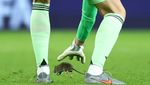 Tikus Ganggu Wales Vs Belgia, Courtois pun Tak Bisa Menangkapnya