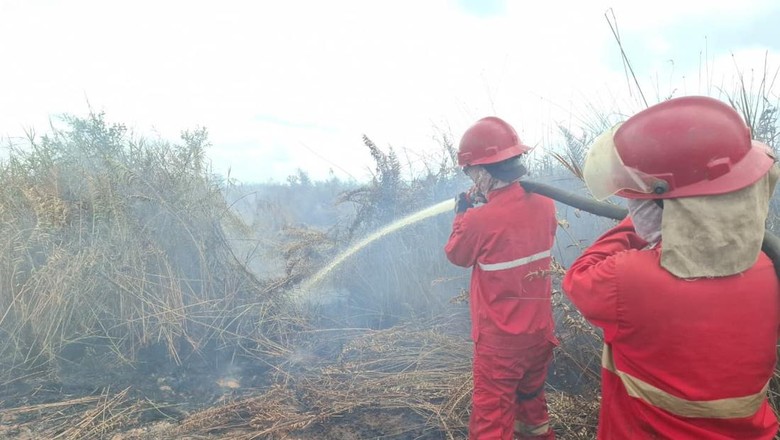 Karhutla di Rambai OKI Sudah 3 Hari Tak Padam, Ini Penyebabnya