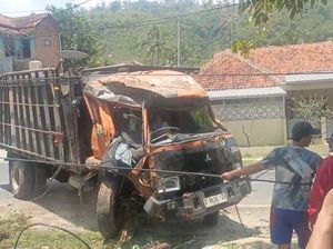 Sapi Berlarian Saat Truk yang Mengangkutnya Terguling di Nagreg Bandung Sapi Berlarian Saat Truk yang Mengangkutnya Terguling di Nagreg Bandung