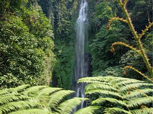 Air Terjun Putuk Truno Prigen, Keindahan Alam yang Bikin Adem Jiwa Air Terjun Putuk Truno Prigen, Keindahan Alam yang Bikin Adem Jiwa