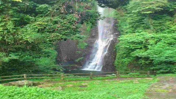 Surga Tersembunyi Di Balik Hiruk-Pikuk Kota