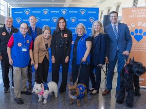 Bandara AS Punya Anjing Terapi yang Bikin Penumpang Tidak Stres
