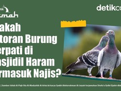 Apakah Kotoran Burung Merpati di Masjidil Haram Termasuk Najis? Apakah Kotoran Burung Merpati di Masjidil Haram Termasuk Najis?
