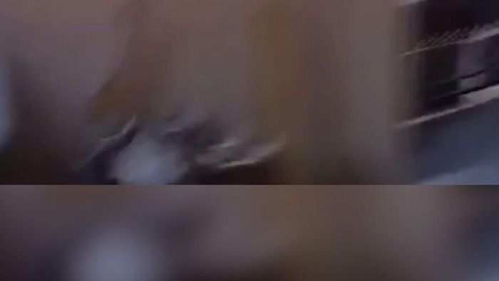 Video: Detik-detik Ledakan Tabung Gas di Jakbar, 2 Orang Luka 