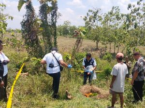 Mayat Bayi Perempuan Ditemukan di Hutan Jati Bojonegoro Mayat Bayi Perempuan Ditemukan di Hutan Jati Bojonegoro