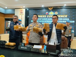 Kebun Bunga di Cianjur Jadi Kedok Ladang Ganja 6,4 Kg Kebun Bunga di Cianjur Jadi Kedok Ladang Ganja 6,4 Kg