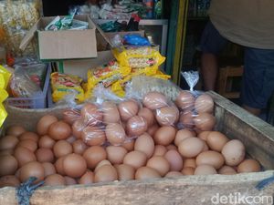 MBG Disebut Jadi Sebab Harga Telur di Klaten Naik Tembus Rp 30 Ribu Sekilo MBG Disebut Jadi Sebab Harga Telur di Klaten Naik Tembus Rp 30 Ribu Sekilo