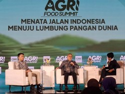 Zulhas Sebut RI Sudah Bisa Ekspor Beras