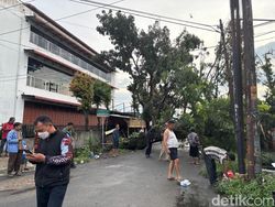 Pohon Besar Tumbang di Sempurna Ujung Medan, Jalan Tertutup