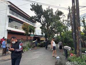 Pohon Besar Tumbang di Sempurna Ujung Medan, Jalan Tertutup Pohon Besar Tumbang di Sempurna Ujung Medan, Jalan Tertutup