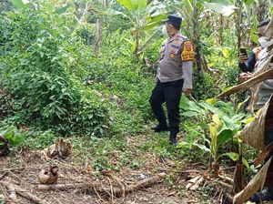 Heboh Warga OKU Selatan Temukan Tulang Belulang Manusia Heboh Warga OKU Selatan Temukan Tulang Belulang Manusia