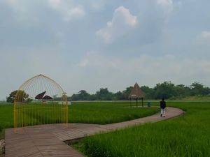 Bermain dan Belajar di Taman Hutan Raya Jeruk Surabaya Bermain dan Belajar di Taman Hutan Raya Jeruk Surabaya